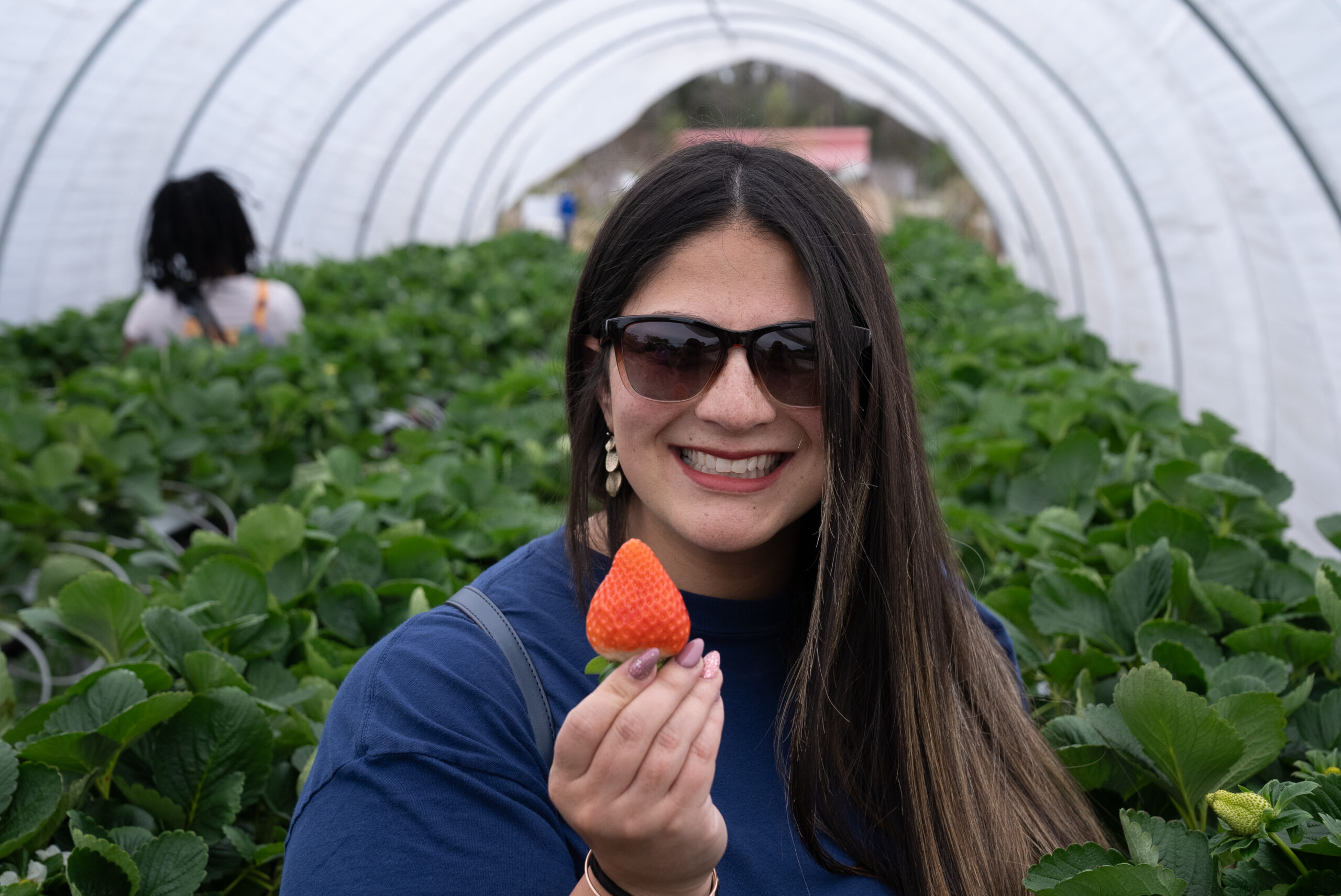 Bridging Agriculture and Tourism in Seminole & Orange Counties