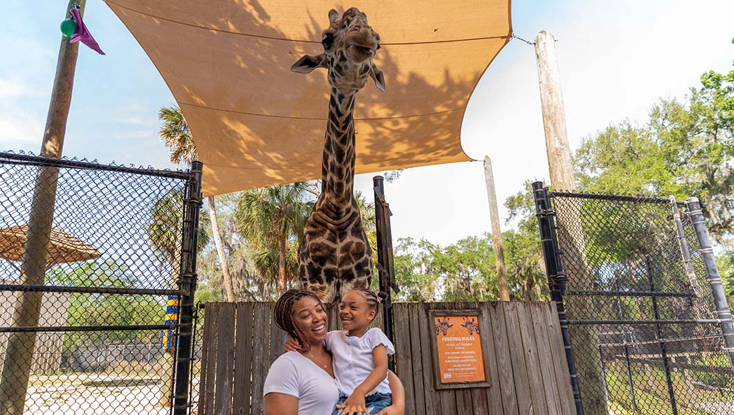 Discover the Impact of Travel in Seminole County