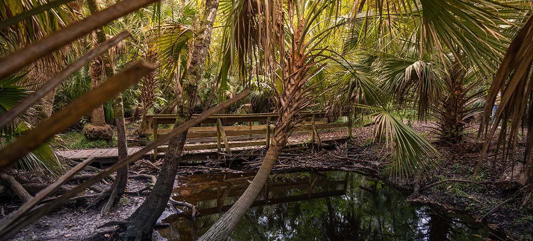 The Best Outdoor and Water Activities Near Orlando