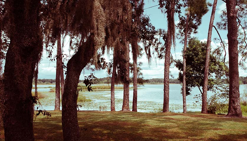 The Top 15 Haunted Places to Visit in Orlando North