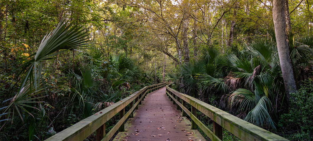 Unique Holiday Experiences in Orlando North 2026