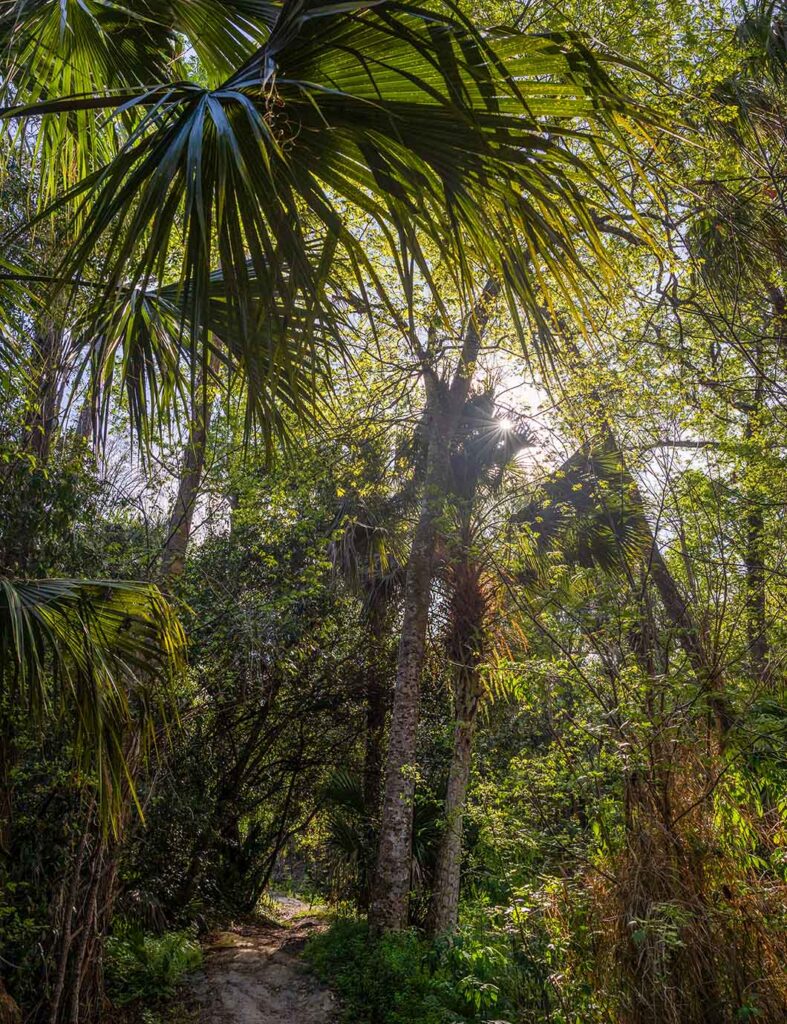 The Seminole County Spring Break Guide for 2026