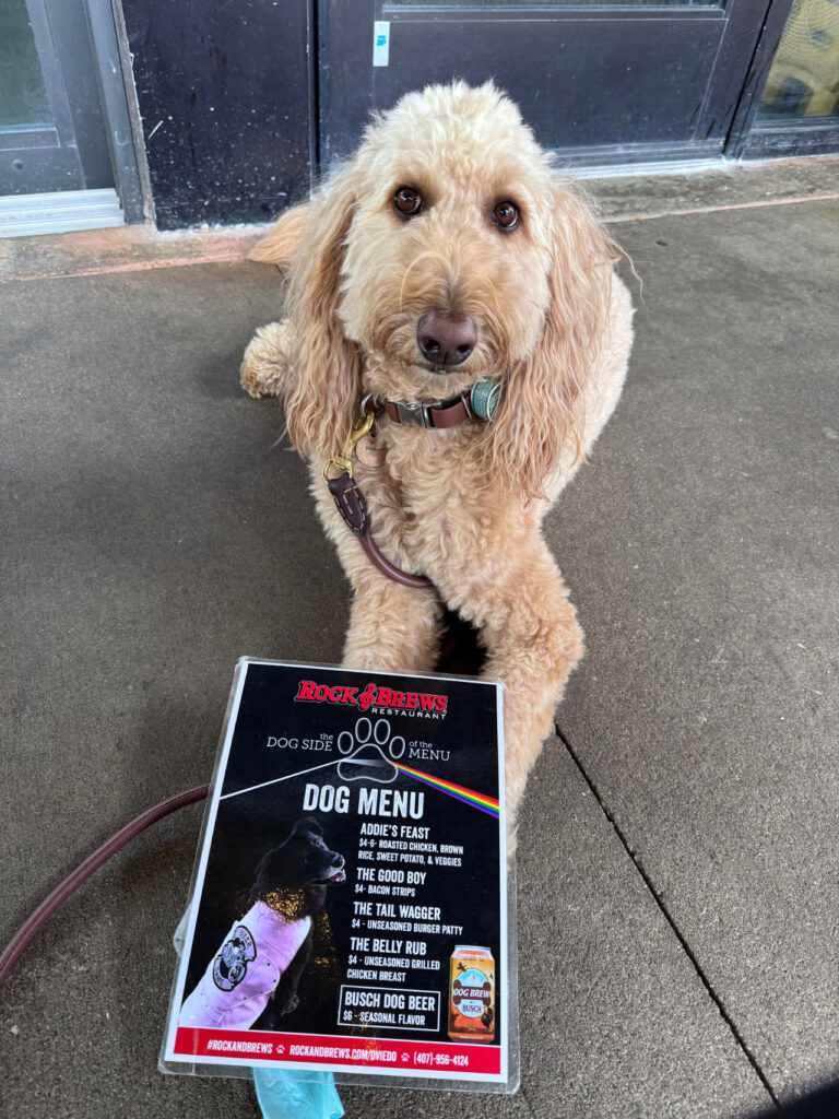 Golden doodle sitting on a sidewalk in front of a restaurant, wearing a collar and leash, with a dog menu displayed nearby.