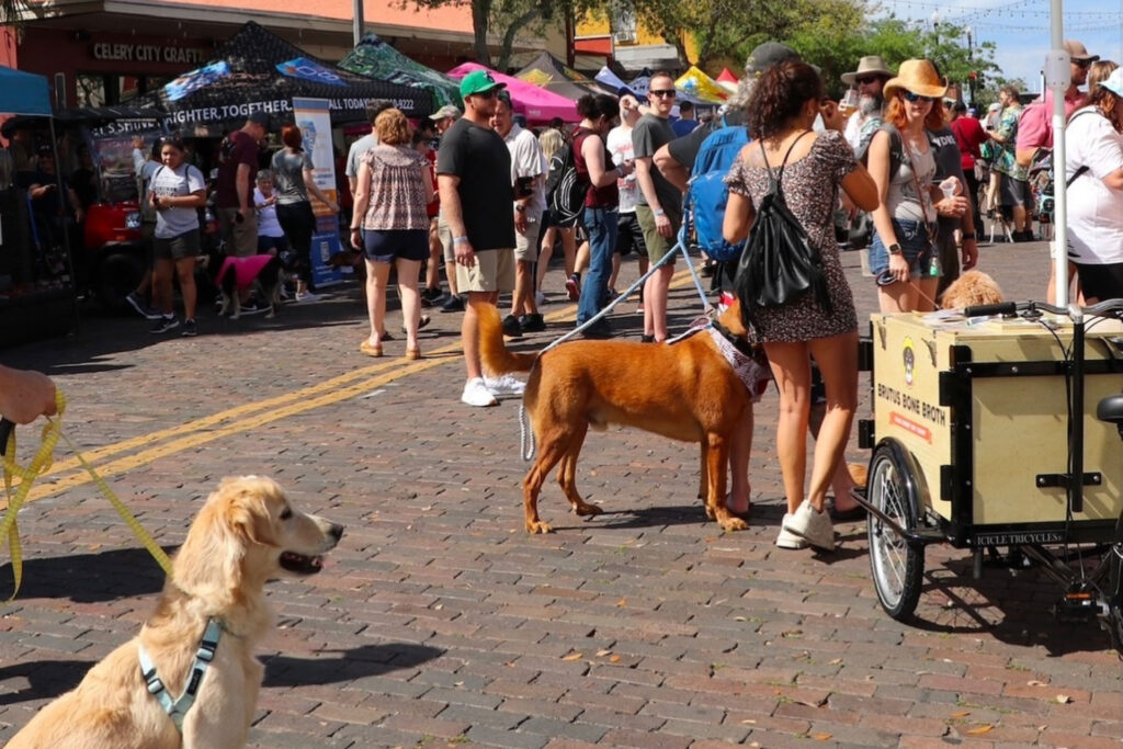 Golden retriever on a leash at a busy outdoor market with vendor tents and a bone broth cart nearby.